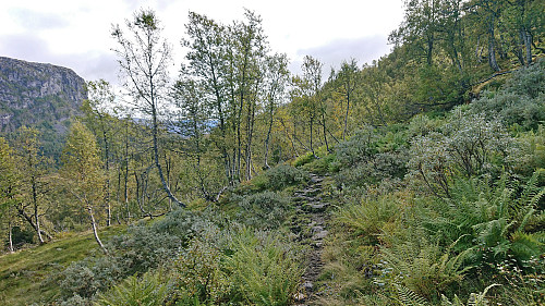 The trail to Helgaset