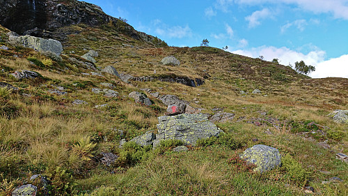 Surprise trail marker on ascent to Grønahorgi!