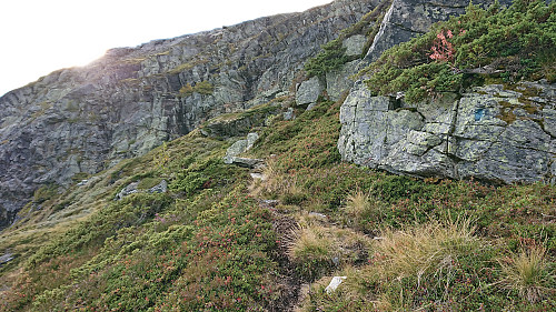 Another trail marker (blue to the right) on my ascent to Grønahorgi