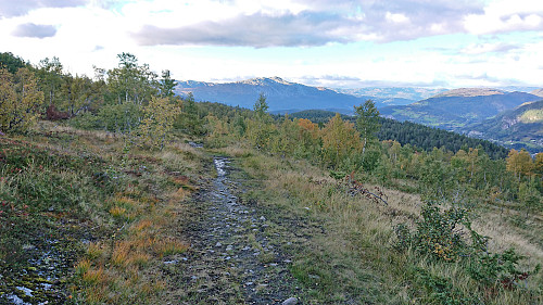 Tractor road from Håset with Lønahorgi in the background
