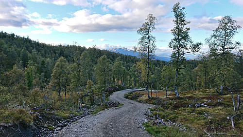 Tractor road down from Håset turning into a gravel road