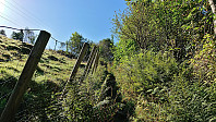 First part of the trail