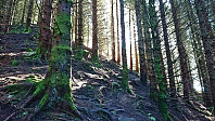 Ascending steeply