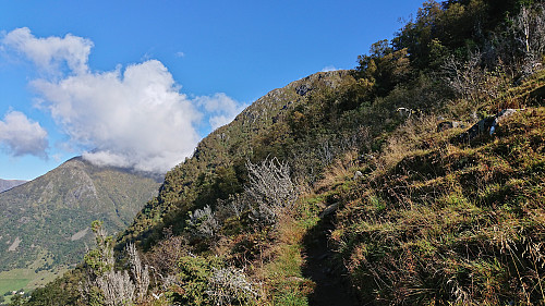 The trail below Hjort