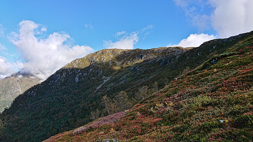 The summit cairn finally appearing