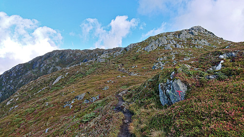 Approaching the summit