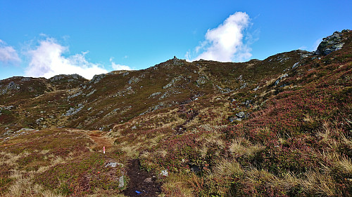 Almost at the summit