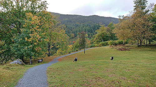 The only three guards on duty at Gamlehaugen this Sunday
