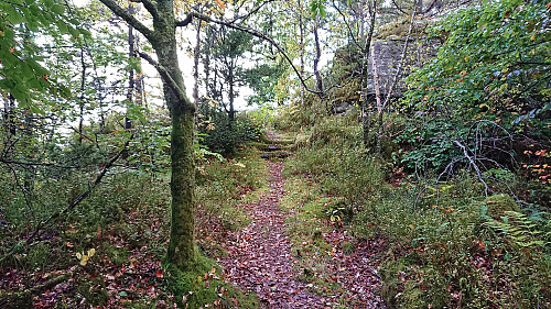 Old trail to the summit