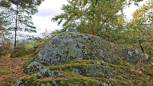 The highest point at Gamlehaugen