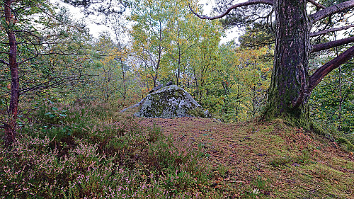 The highest point at Gamlehaugen