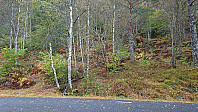 The trailhead