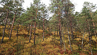 Marked trail to Eikemostølen