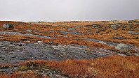 Off-trail towards Slettefjellet