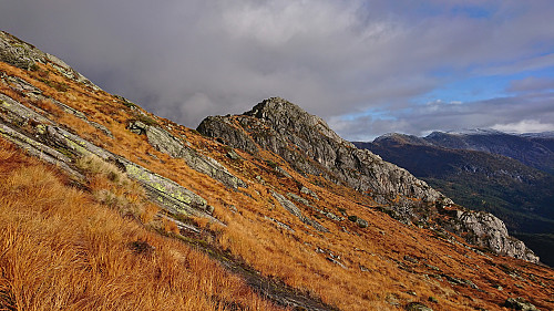 The unnamed 774 peak from the ascent