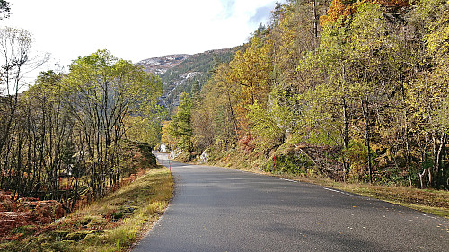 Walking along the road from Eikemo to Eide