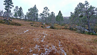 Marked trail to Øyjordsstølen