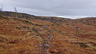 Trail towards Skorseteggi