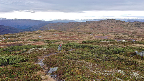 Following the marked trail from Skorseteggi Sør to Kolingseggi