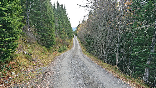 Gravel road south from Liaset