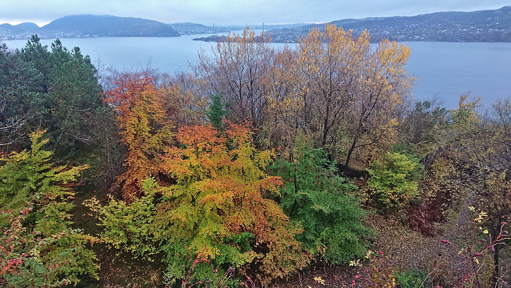 Fall colors at Hellen festning
