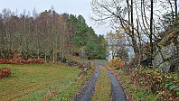 Gravel road to Kjenesvika