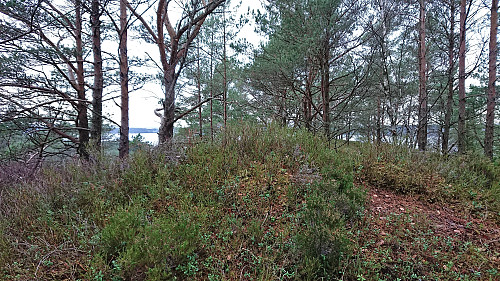 The highest point at Kjeneset