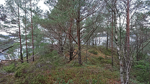North from the highest point at Kjeneset