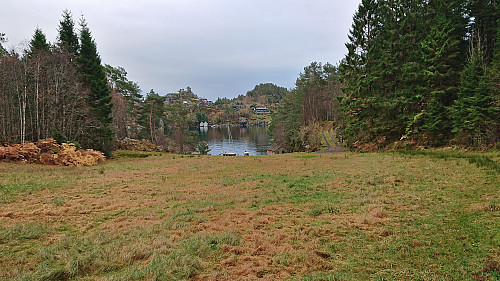 Kjenesvika