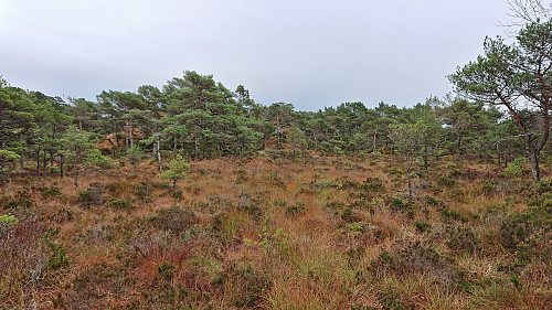Lots of wet areas on the way to Såta