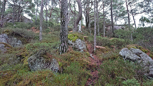 The final ascent to Såta