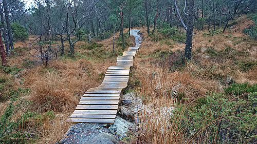Example of the easier parts of the mountain bike tracks