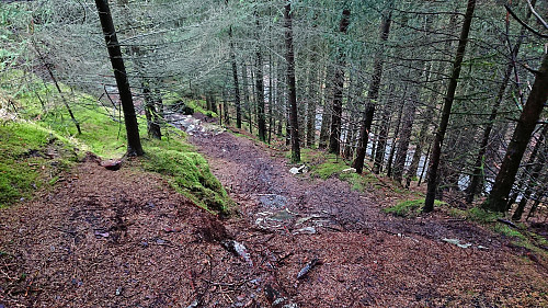 One of the more advanced sections (it is steeper than it looks)