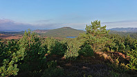 Emberlandsnipen from Tveitalifjellet