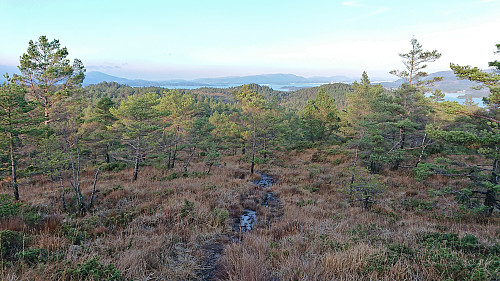 Wet and muddy trail from Emberlandsnipen to Nipaståvo. Leirvik in the background right.