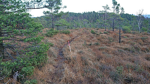 Trail from Nipaståvo to Mjuko