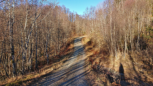 Gravel road to Alkleiv