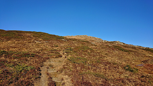 Approaching the final steep ascent to Torefjell