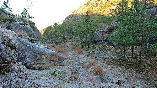 Red trail makers in the valley between Hopsfjellet and Staupefjellet