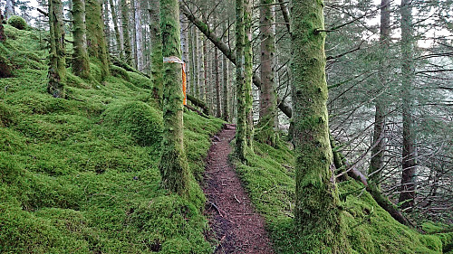 Following the marked trail back to the parking lot