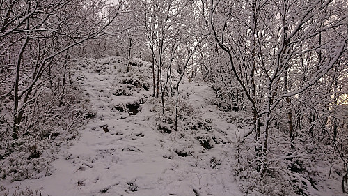 The snow-covered trail towards Orretua