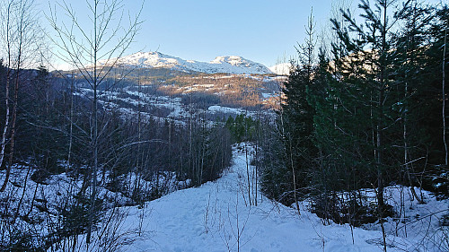 Kvasshovden and Kjerringafjellet from above Solhaug