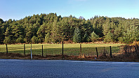 The unmarked trailhead