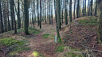 More faded trail markers