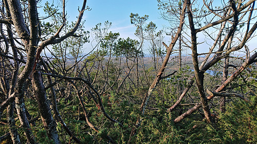 Limited views and slow progress northwest from the small hill west of Ramsfjellet