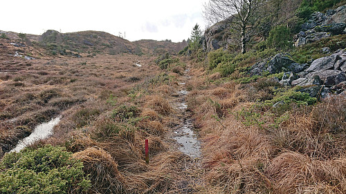 Following the marked trail southwest to Gullvegen