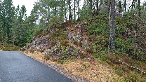 The unmarked (and easy to miss) trailhead for Gjesthaugen