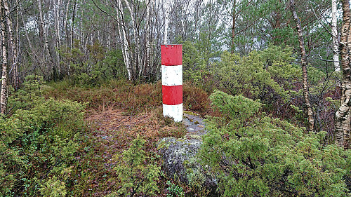 The trig marker at Gjesthaugen