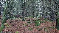 Off-trail from the paved road