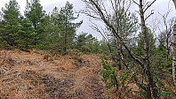 The rough tractor road